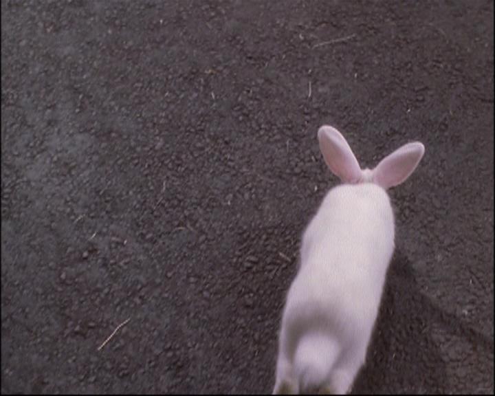 Charmed-Online-dot-net_802MaliceInWonderland1028.jpg Charmed-Online-dot-net_802MaliceInWonderland1028.jpg