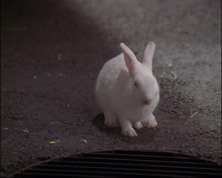 Charmed-Online-dot-net_802MaliceInWonderland1032.jpg Charmed-Online-dot-net_802MaliceInWonderland1032.jpg