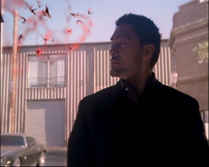 Charmed-Online-dot-net_805Rewitched1098.jpg Charmed-Online-dot-net_805Rewitched1098.jpg