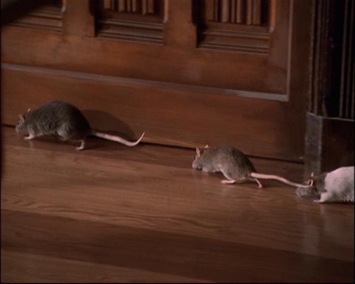 Charmed-Online-dot-net_806KillBillieVol1-0222.jpg Charmed-Online-dot-net_806KillBillieVol1-0222.jpg