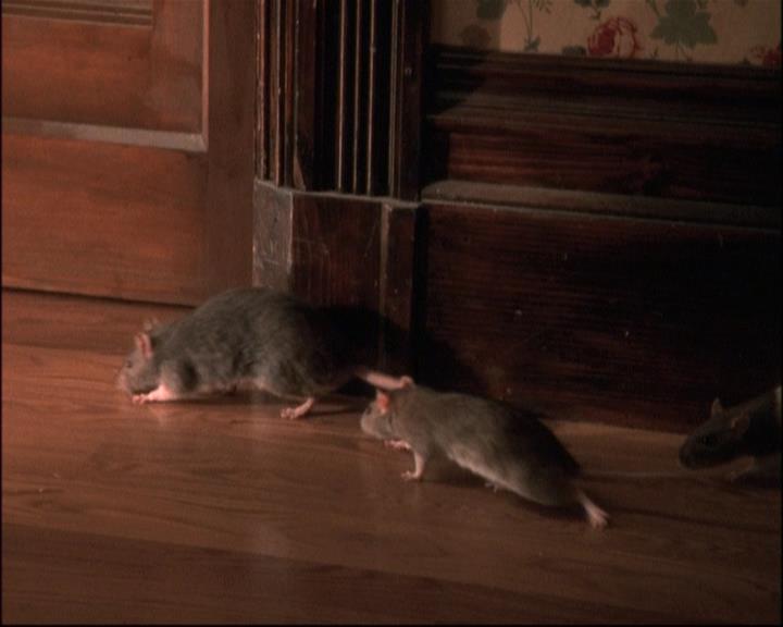 Charmed-Online-dot-net_806KillBillieVol1-0233.jpg Charmed-Online-dot-net_806KillBillieVol1-0233.jpg