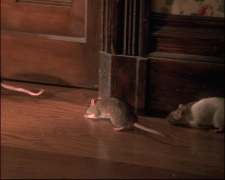 Charmed-Online-dot-net_806KillBillieVol1-0234.jpg Charmed-Online-dot-net_806KillBillieVol1-0234.jpg