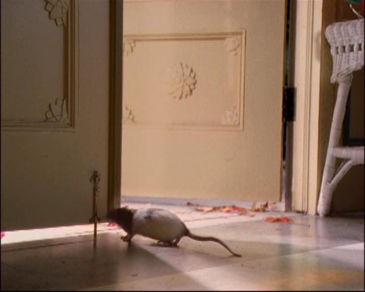 Charmed-Online-dot-net_806KillBillieVol1-0277.jpg Charmed-Online-dot-net_806KillBillieVol1-0277.jpg