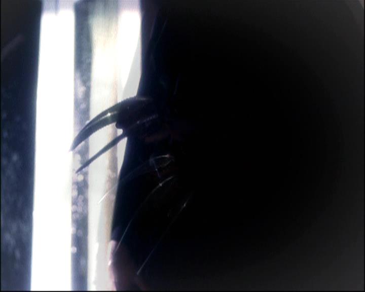 Charmed-Online-dot-net_806KillBillieVol1-1999.jpg Charmed-Online-dot-net_806KillBillieVol1-1999.jpg