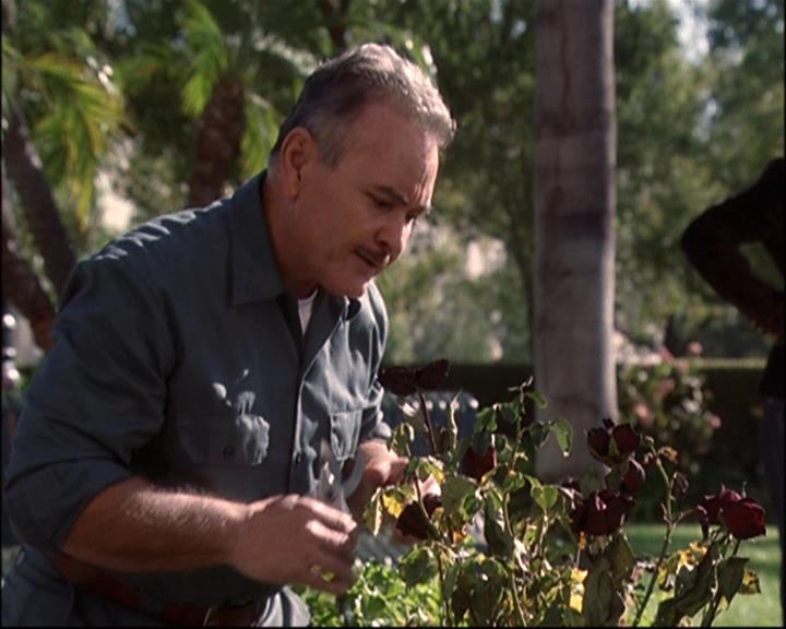 Charmed-Online-dot-net_807TheLostPictureShow0585.jpg Charmed-Online-dot-net_807TheLostPictureShow0585.jpg