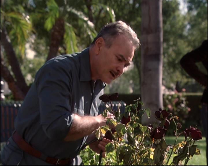 Charmed-Online-dot-net_807TheLostPictureShow0587.jpg Charmed-Online-dot-net_807TheLostPictureShow0587.jpg