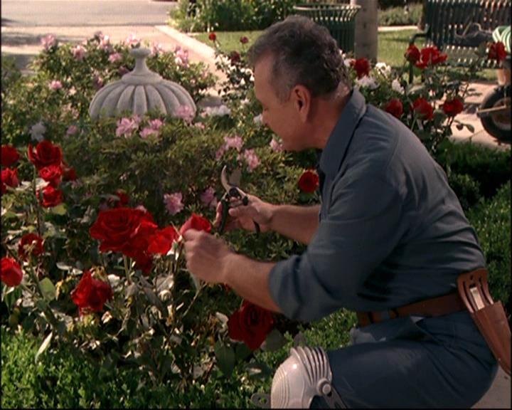 Charmed-Online-dot-net_807TheLostPictureShow0770.jpg Charmed-Online-dot-net_807TheLostPictureShow0770.jpg