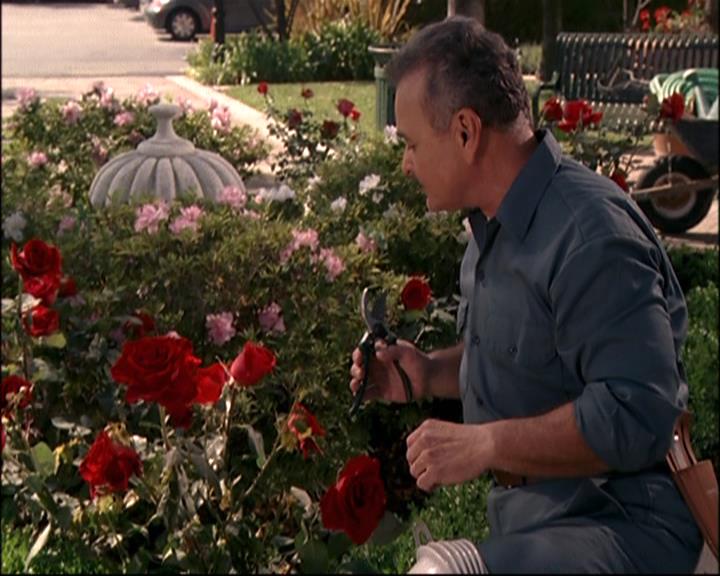 Charmed-Online-dot-net_807TheLostPictureShow0771.jpg Charmed-Online-dot-net_807TheLostPictureShow0771.jpg