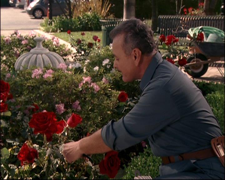 Charmed-Online-dot-net_807TheLostPictureShow0772.jpg Charmed-Online-dot-net_807TheLostPictureShow0772.jpg