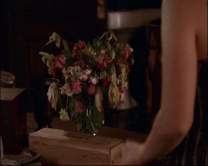 Charmed-Online-dot-net_811MrAndMrsWitch0778.jpg Charmed-Online-dot-net_811MrAndMrsWitch0778.jpg