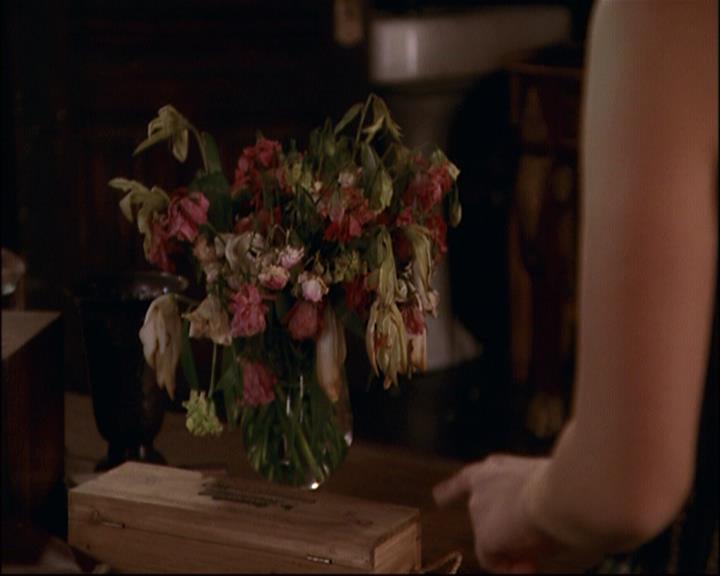 Charmed-Online-dot-net_811MrAndMrsWitch0781.jpg Charmed-Online-dot-net_811MrAndMrsWitch0781.jpg