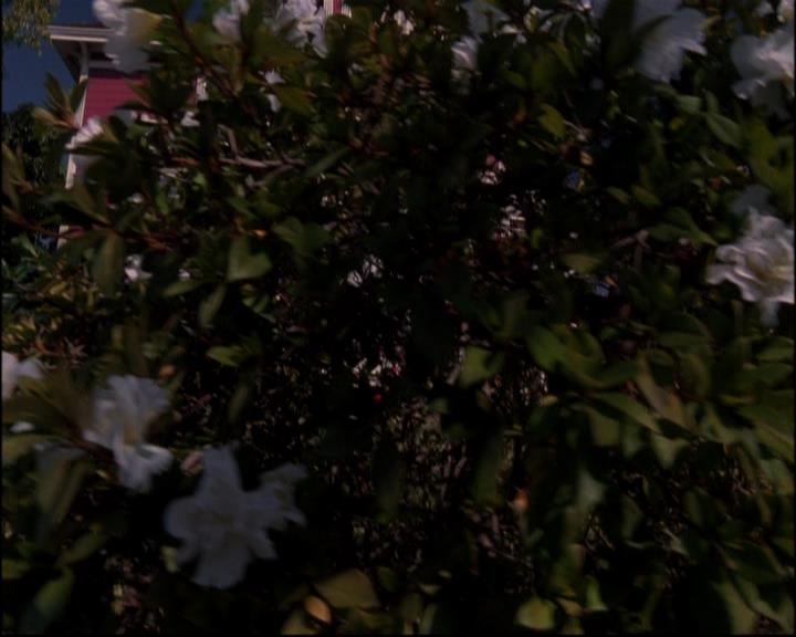 Charmed-Online-dot-814-12AngryZen0451.jpg Charmed-Online-dot-814-12AngryZen0451.jpg