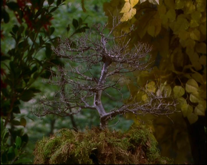 Charmed-Online-dot-814-12AngryZen1061.jpg Charmed-Online-dot-814-12AngryZen1061.jpg