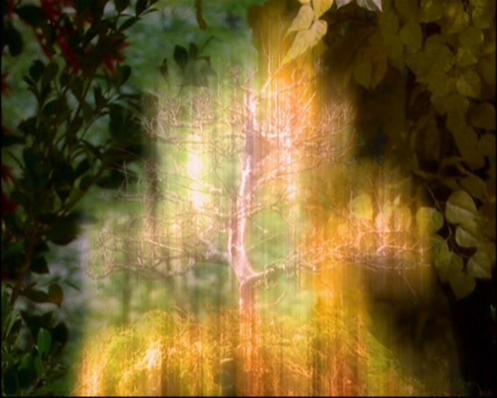 Charmed-Online-dot-814-12AngryZen1072.jpg Charmed-Online-dot-814-12AngryZen1072.jpg