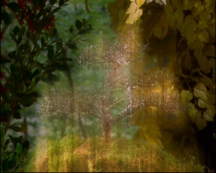 Charmed-Online-dot-814-12AngryZen1073.jpg Charmed-Online-dot-814-12AngryZen1073.jpg