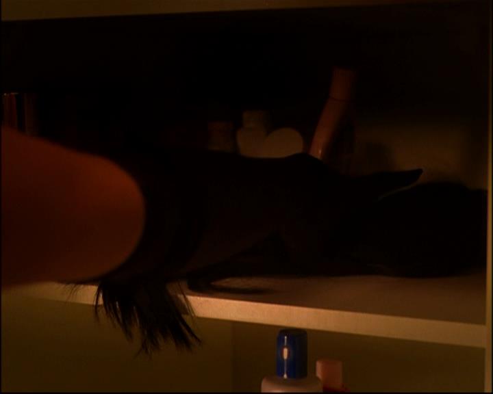 Charmed-Online-dot-TheMakingOfCharmed0760.jpg Charmed-Online-dot-TheMakingOfCharmed0760.jpg