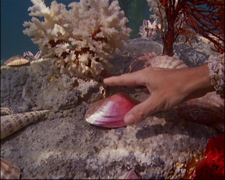 Charmed-Online-dot-TheStoryOfCharmed-CharmedAgain0985.jpg Charmed-Online-dot-TheStoryOfCharmed-CharmedAgain0985.jpg