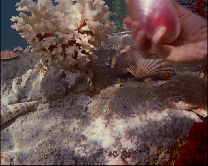 Charmed-Online-dot-TheStoryOfCharmed-CharmedAgain0986.jpg Charmed-Online-dot-TheStoryOfCharmed-CharmedAgain0986.jpg