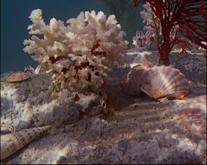 Charmed-Online-dot-TheStoryOfCharmed-CharmedAgain0987.jpg Charmed-Online-dot-TheStoryOfCharmed-CharmedAgain0987.jpg