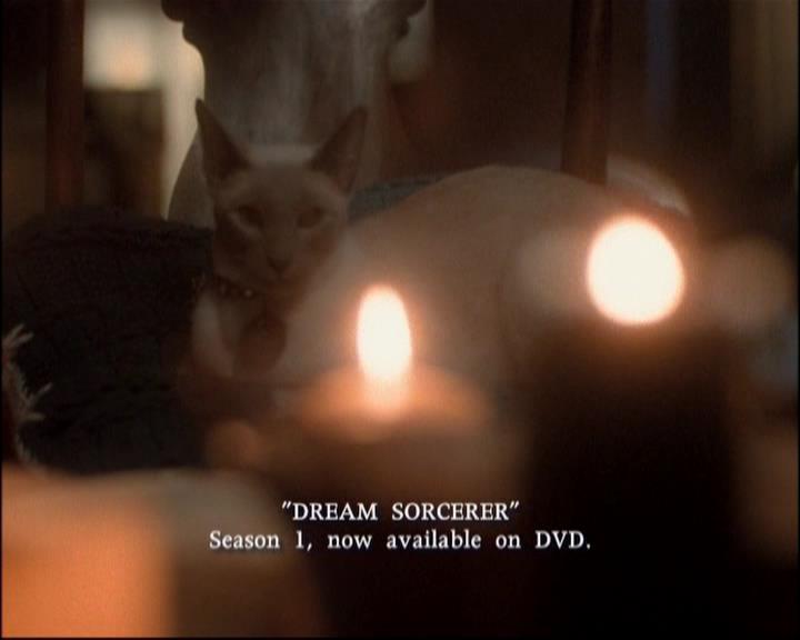 Charmed-Online-dot-TheStoryOfCharmed-Genesis0037.jpg Charmed-Online-dot-TheStoryOfCharmed-Genesis0037.jpg