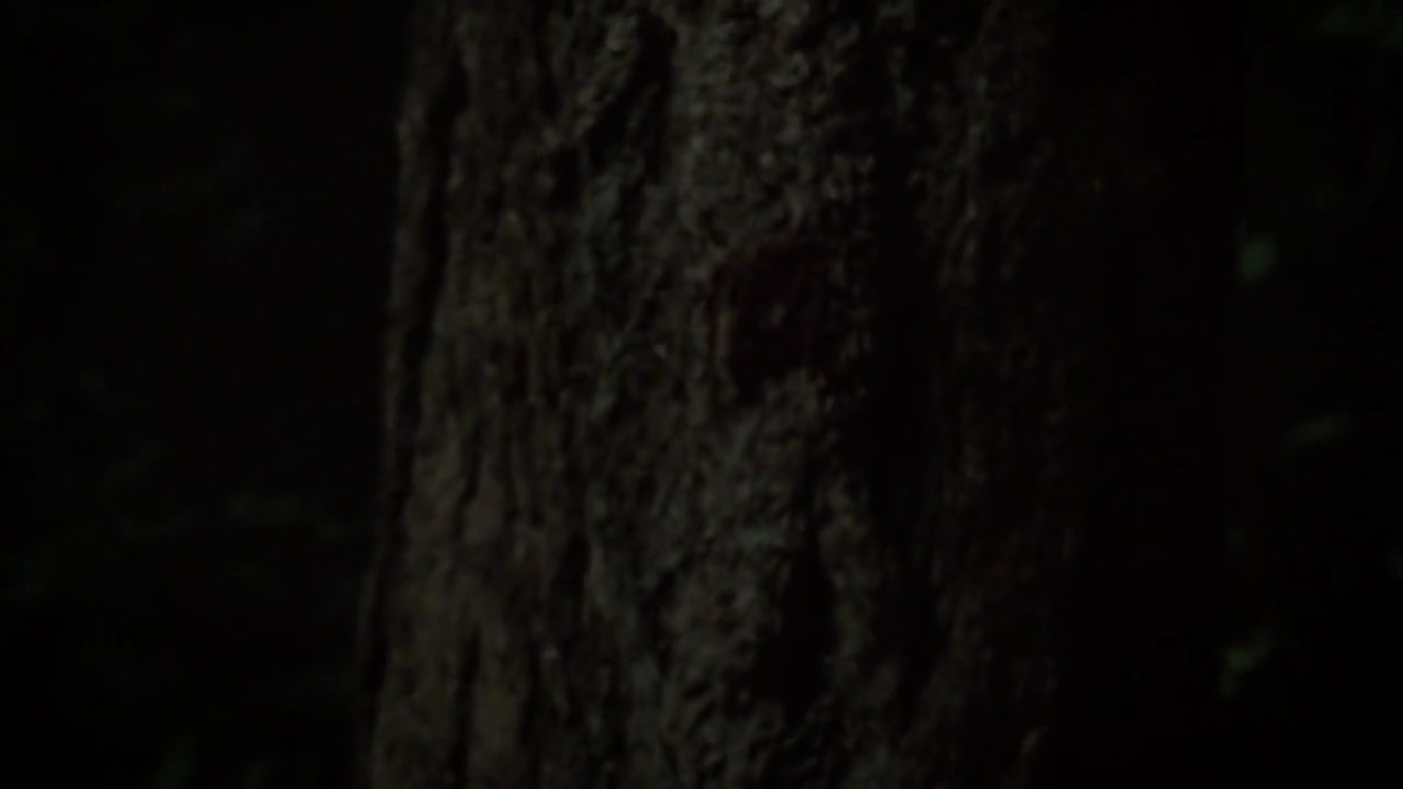 Charmed-Online-dot-nl_Charmed-1x03SweetTooth01941.jpg