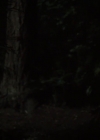 Charmed-Online-dot-nl_Charmed-1x03SweetTooth01938.jpg