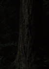 Charmed-Online-dot-nl_Charmed-1x03SweetTooth01939.jpg