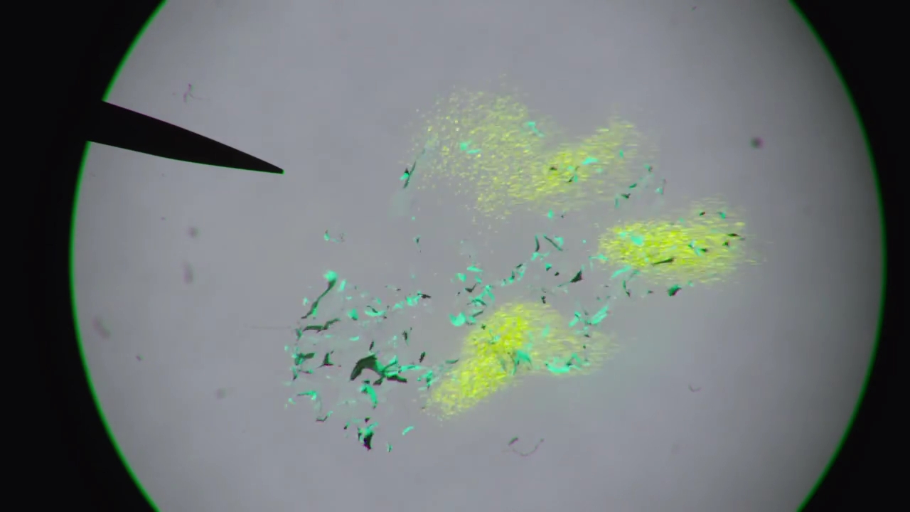 Charmed-Online-dot-nl_Charmed-1x04ExorciseYourDemons00818.jpg Charmed-Online-dot-nl_Charmed-1x04ExorciseYourDemons00818.jpg