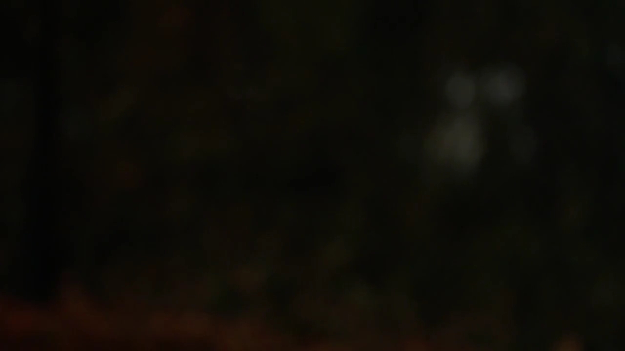 Charmed-Online-dot-nl_Charmed-1x04ExorciseYourDemons01740.jpg Charmed-Online-dot-nl_Charmed-1x04ExorciseYourDemons01740.jpg