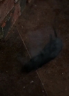 Charmed-Online-dot-nl_Charmed-1x04ExorciseYourDemons00121.jpg