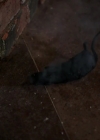 Charmed-Online-dot-nl_Charmed-1x04ExorciseYourDemons00122.jpg