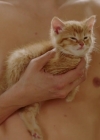 Charmed-Online-dot-nl_Charmed-1x07OutofScythe00102.jpg