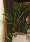 Charmed-Online-dot-nl_Charmed-1x10KeepCalmAndHarryOn00118.jpg