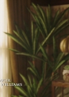 Charmed-Online-dot-nl_Charmed-1x10KeepCalmAndHarryOn00120.jpg