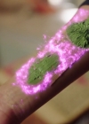 Charmed-Online-dot-nl_Charmed-1x10KeepCalmAndHarryOn00706.jpg