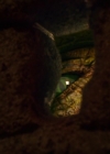 Charmed-Online-dot-nl_Charmed-1x10KeepCalmAndHarryOn01370.jpg