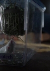 Charmed-Online-dot-nl_Charmed-1x12YoureDeathToMe00509.jpg