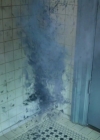 Charmed-Online-dot-nl_Charmed-1x12YoureDeathToMe01843.jpg