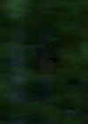 Charmed-Online-dot-nl_Charmed-1x17Surrender00006.jpg