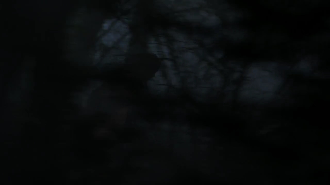 Charmed-Online-dot-nl_Charmed-1x18TheReplacement01497.jpg