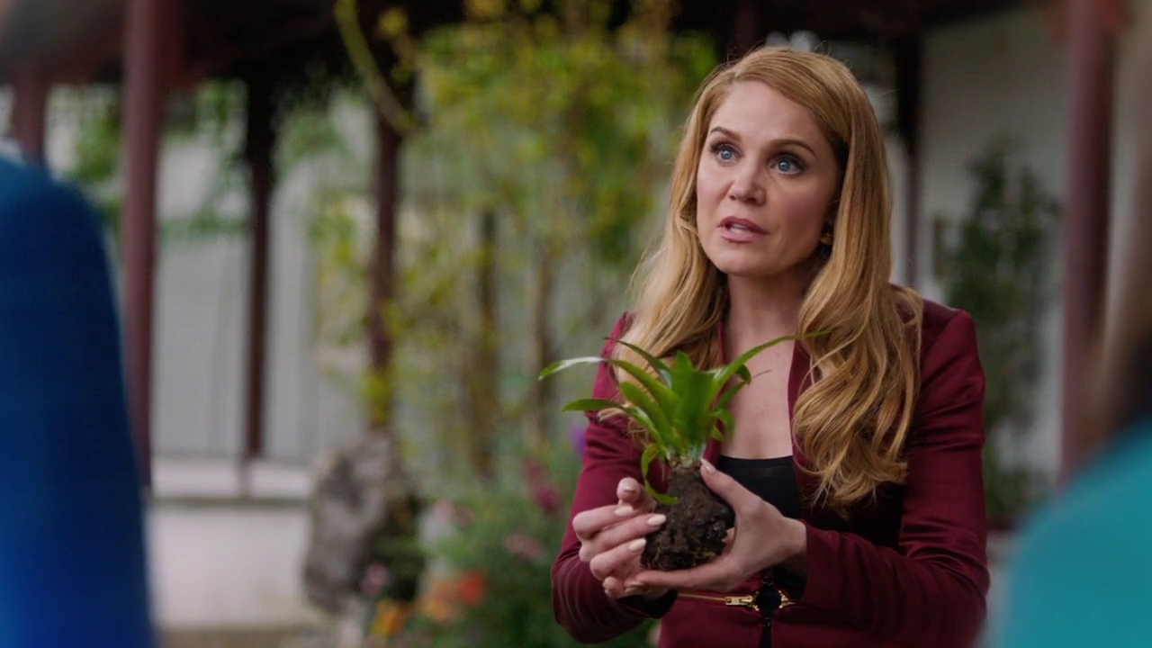 Charmed-Online-dot-nl_Charmed-1x21RedRain00976.jpg Charmed-Online-dot-nl_Charmed-1x21RedRain00976.jpg