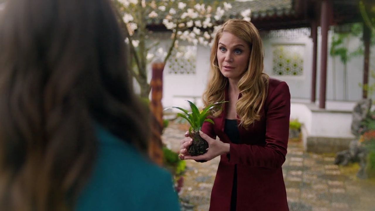 Charmed-Online-dot-nl_Charmed-1x21RedRain00984.jpg Charmed-Online-dot-nl_Charmed-1x21RedRain00984.jpg