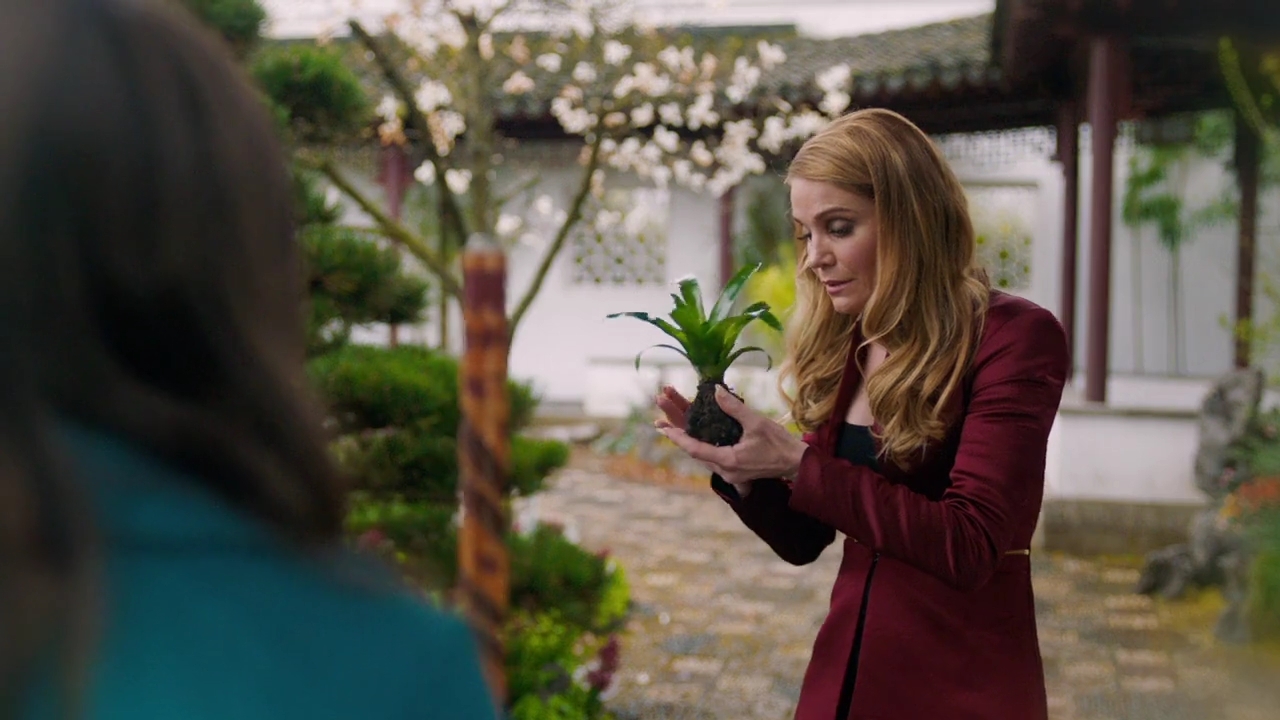 Charmed-Online-dot-nl_Charmed-1x21RedRain00992.jpg Charmed-Online-dot-nl_Charmed-1x21RedRain00992.jpg