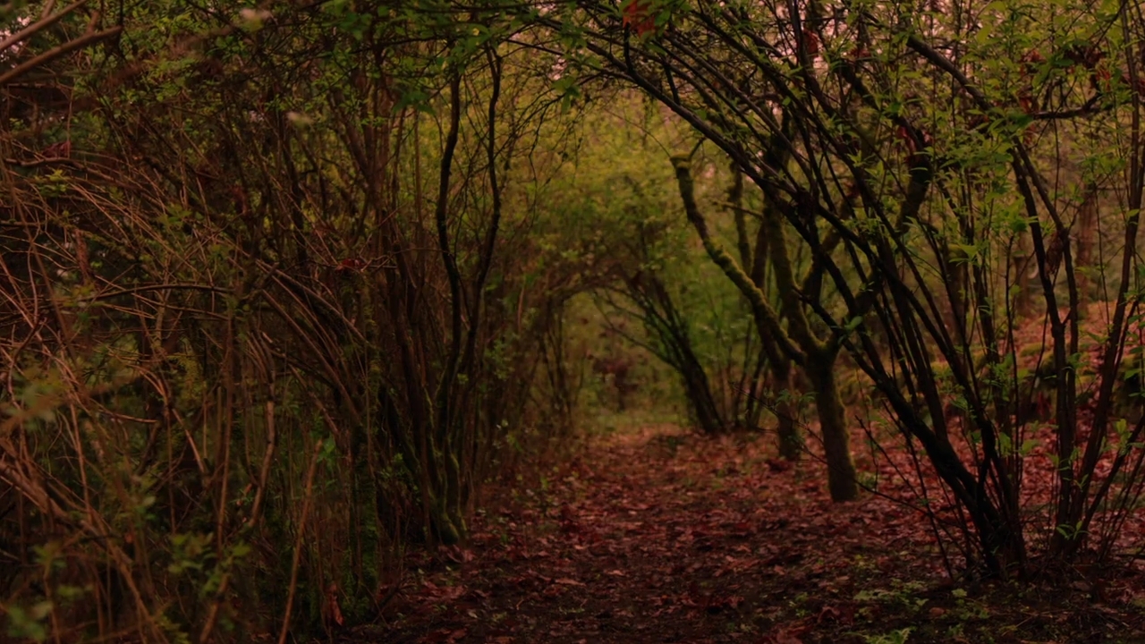 Charmed-Online-dot-nl_Charmed-1x21RedRain01783.jpg