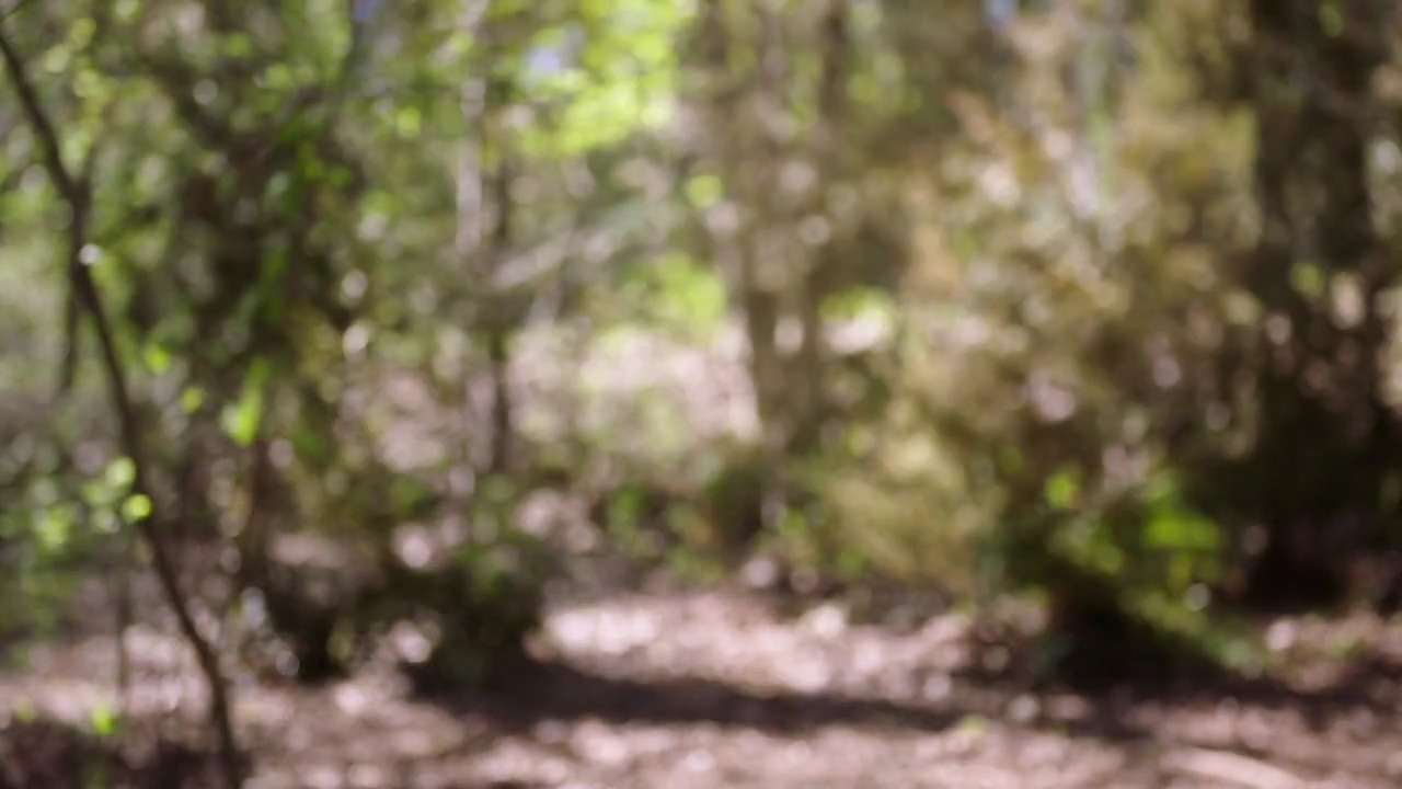 Charmed-Online-dot-nl_Charmed-1x21RedRain02097.jpg