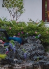 Charmed-Online-dot-nl_Charmed-1x21RedRain01069.jpg