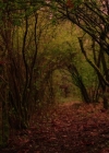 Charmed-Online-dot-nl_Charmed-1x21RedRain01783.jpg