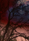 Charmed-Online-dot-nl_Charmed-1x21RedRain01812.jpg
