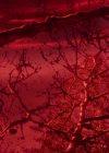 Charmed-Online-dot-nl_Charmed-1x21RedRain02029.jpg
