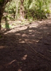 Charmed-Online-dot-nl_Charmed-1x21RedRain02122.jpg